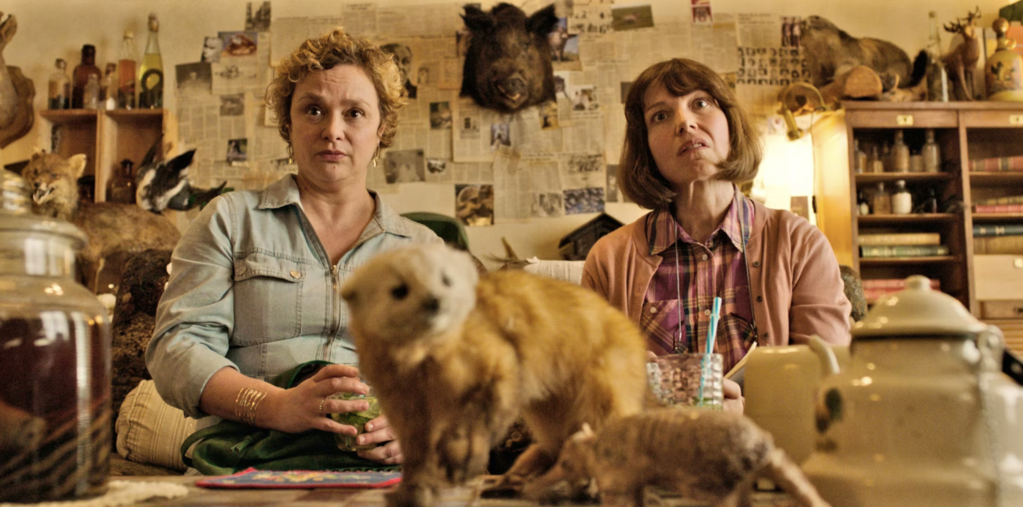 Festival du film d'Istanbul - 2025