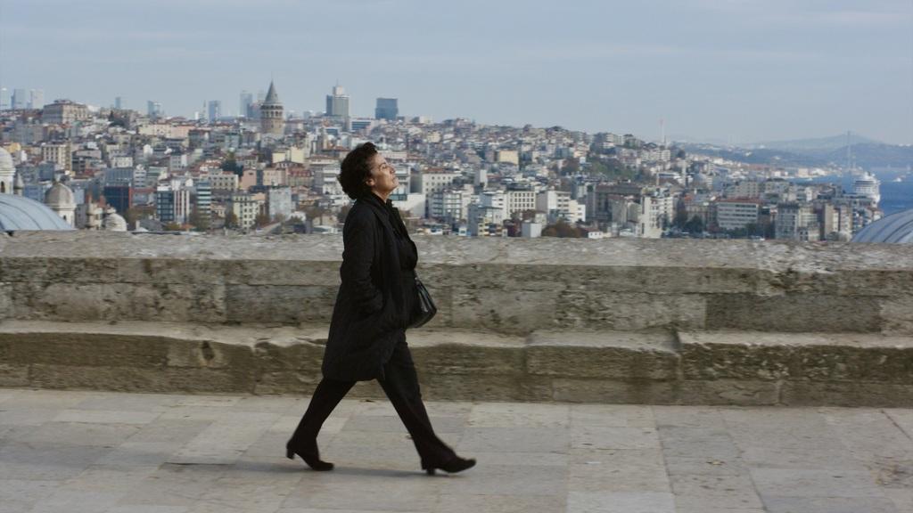 Crossing Istanbul - © Lisabi Fridell Crossing Istanbul - © Lisabi Fridell