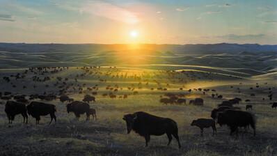 media - © Le Cinquième Rêve - France TV Distribution media - © Le Cinquième Rêve - France TV Distribution