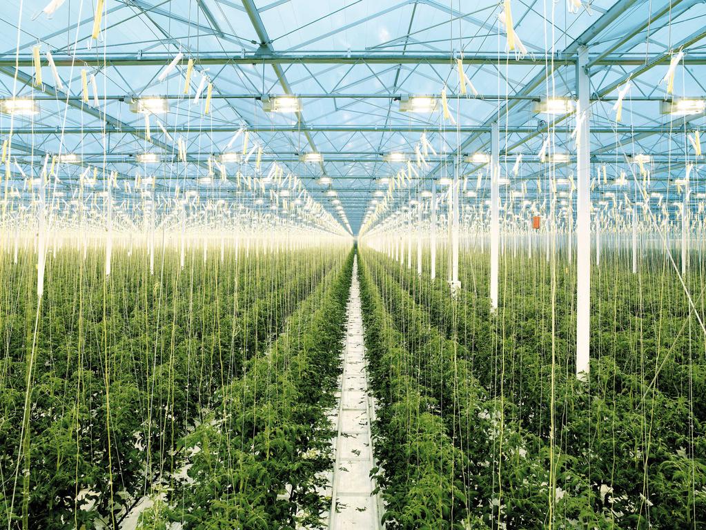 Nous resterons sur terre Nous resterons sur terre