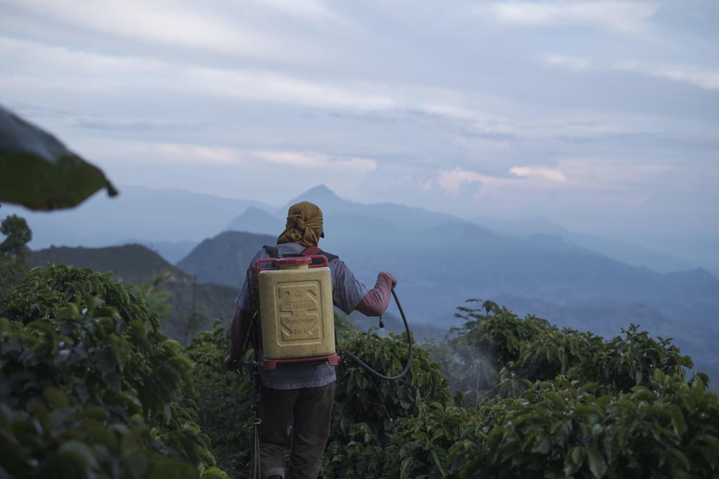 Festival International de Guadalajara (FICG) - 2022