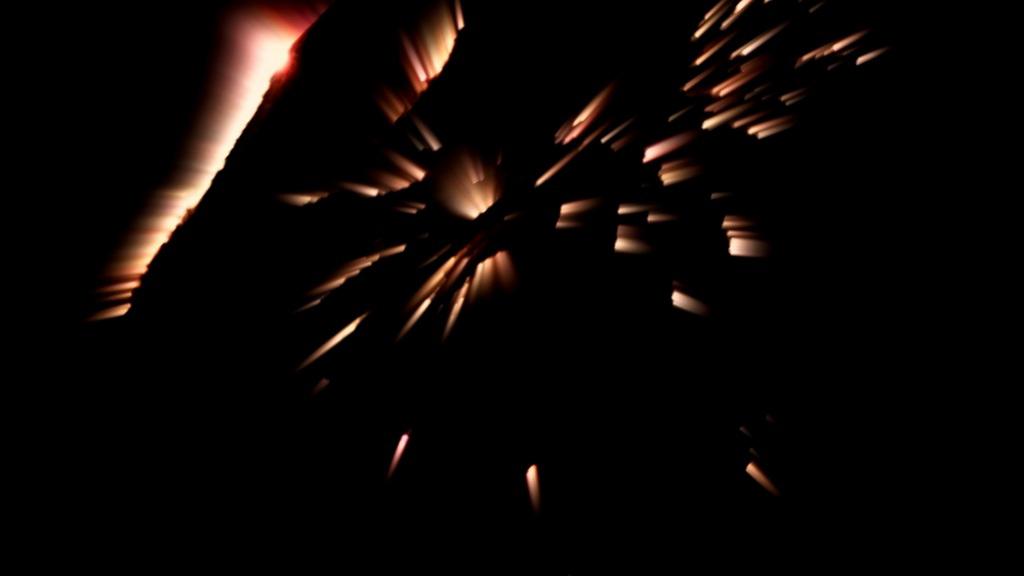 Dresden International Short Film Festival - 2014