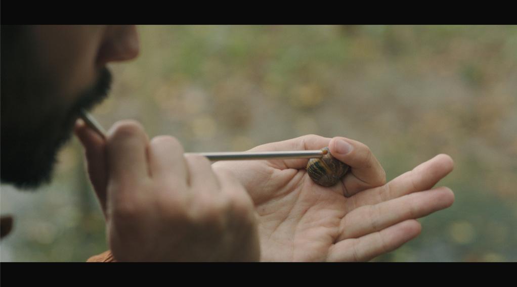 Lo Rei que s'escon Lo Rei que s'escon