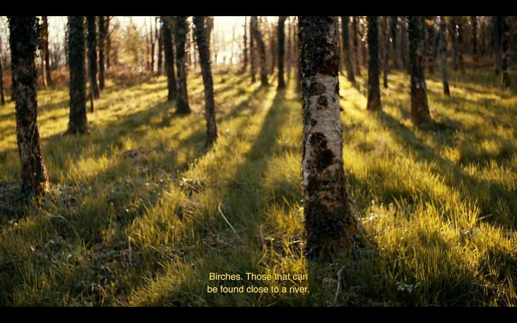 Her Scents of Pu Er Her Scents of Pu Er