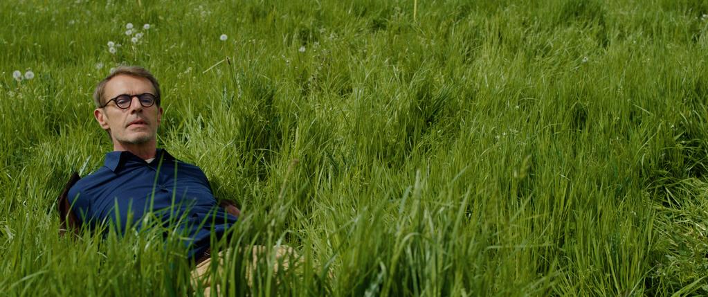 5 hectares 5 hectares