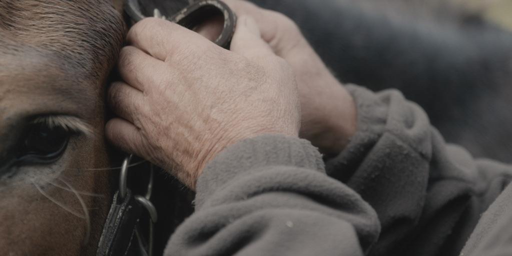 Vers l'absolu Vers l'absolu