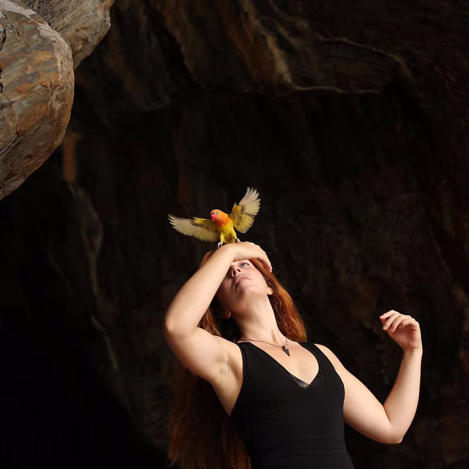 Birds of Rain Birds of Rain