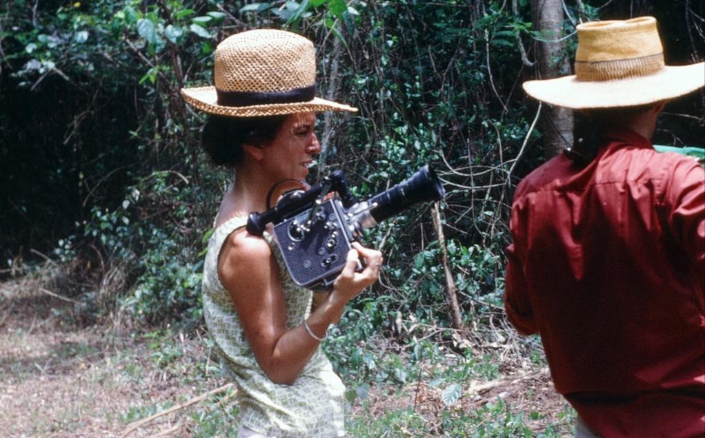 Vas-y voir Vas-y voir