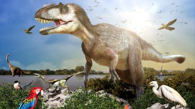 La fabuleuse histoire des oiseaux, des dinosaures parmi nous - &copy; France T&eacute;l&eacute;visions - Pernel Media