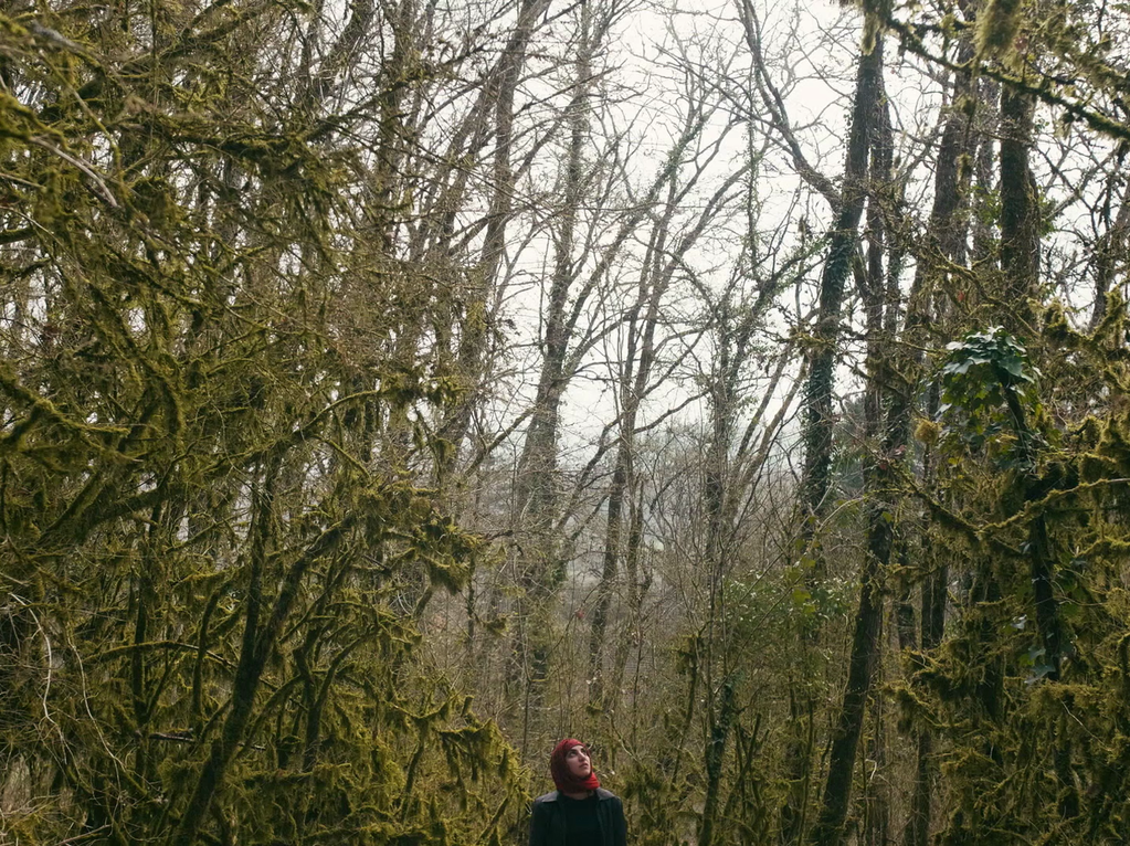 The Fire Next Time The Fire Next Time