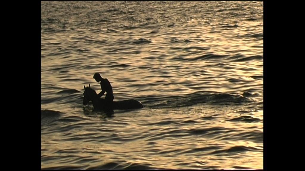 Voyage à Gaza Voyage à Gaza