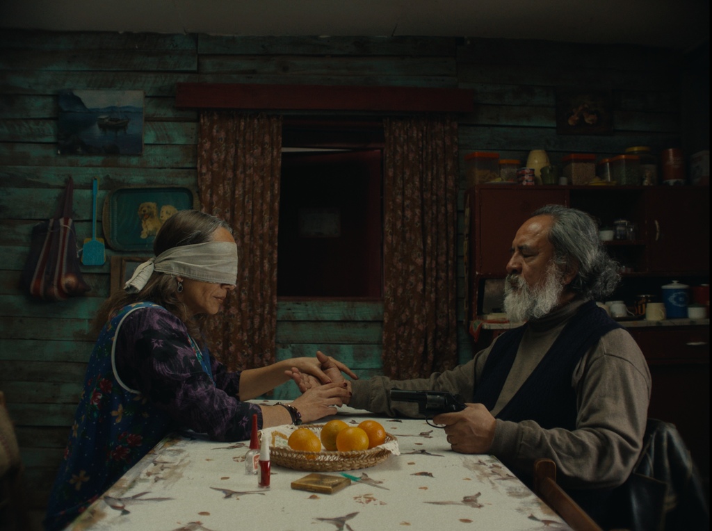 The Mysterious Gaze of the Flamingo The Mysterious Gaze of the Flamingo