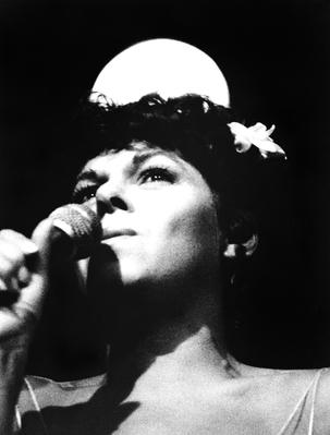 Miúcha, the Voice of Bossa Nova Miúcha, the Voice of Bossa Nova