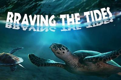 Braving the Tides