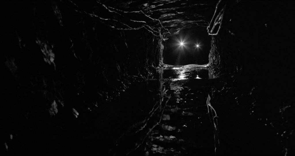 Mother Lode Mother Lode