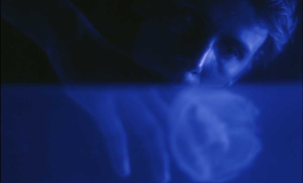 The Jellyfish of Gouville The Jellyfish of Gouville