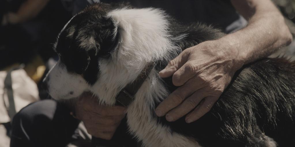 In Pursuit of the Absolute In Pursuit of the Absolute