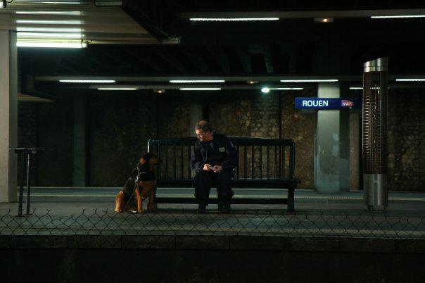 French Film Festival in Russia - 2011