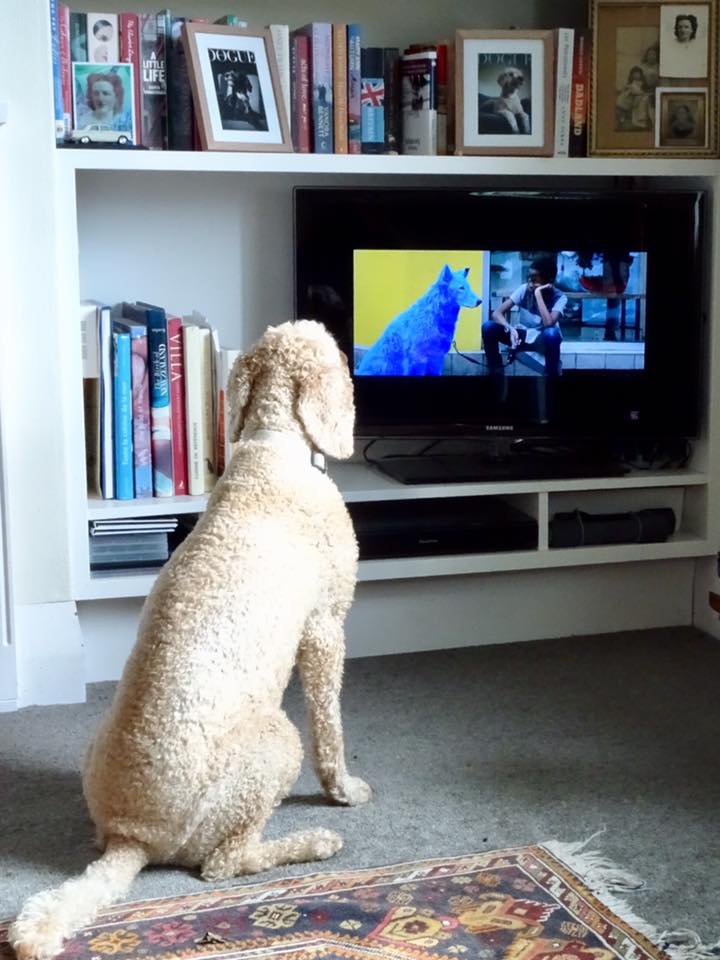 MyFrenchFilmFestival, un balance intermedio MyFrenchFilmFestival, un balance intermedio