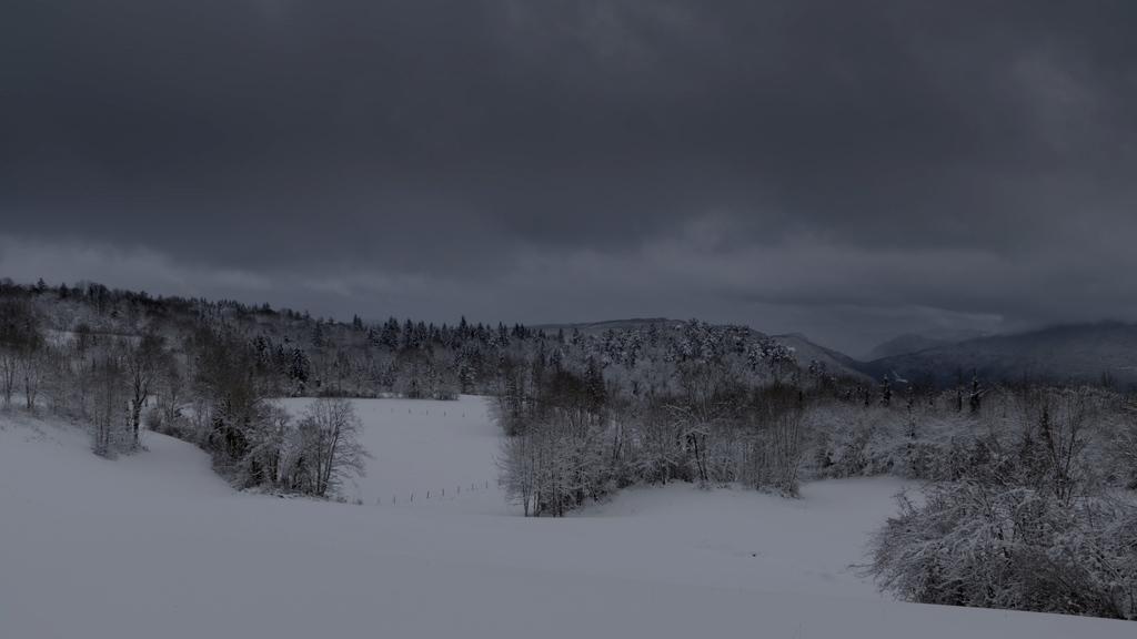 A Light Woman A Light Woman