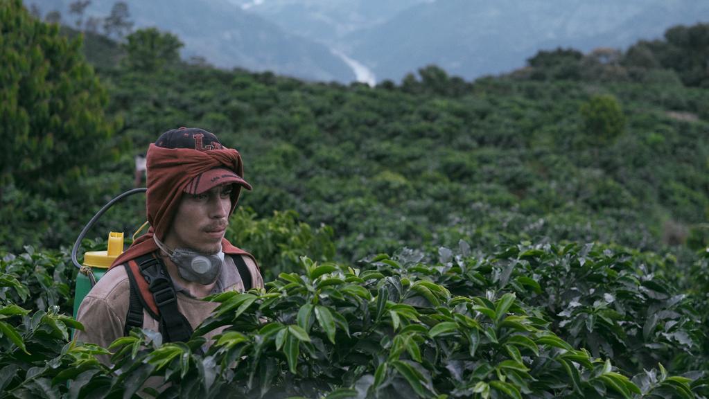 The Rust - © Alejandro Pérez Ceferino The Rust - © Alejandro Pérez Ceferino