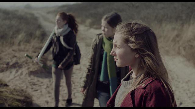 Directors' Fortnight - 2014