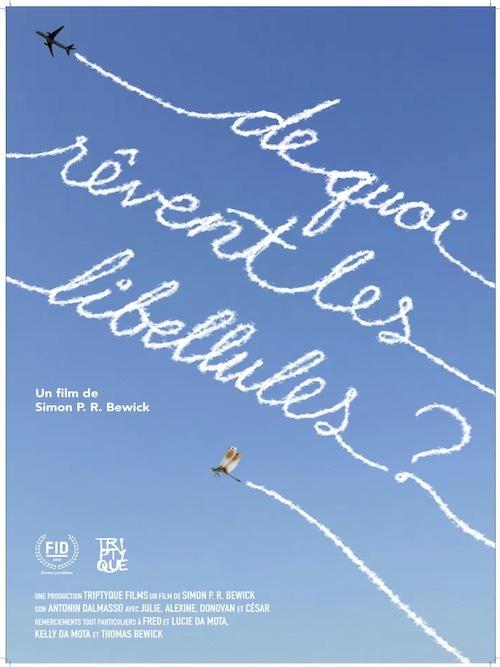 De quoi rêvent les libellules ? De quoi rêvent les libellules ?