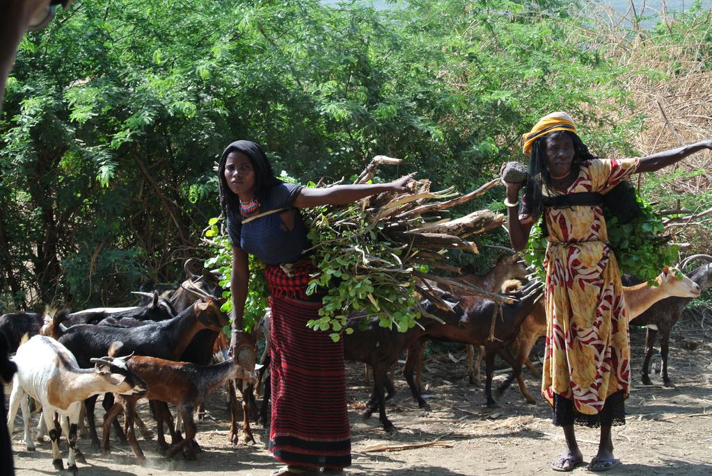 Kimbidalé (Entière) Kimbidalé (Entière)