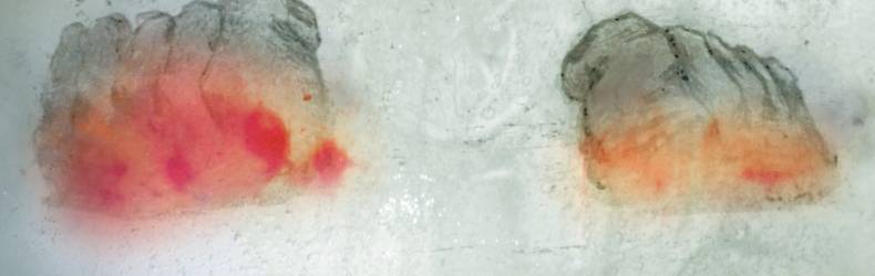 &Eacute;milie Cazimajou