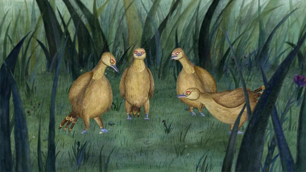 Conte sauvage Conte sauvage