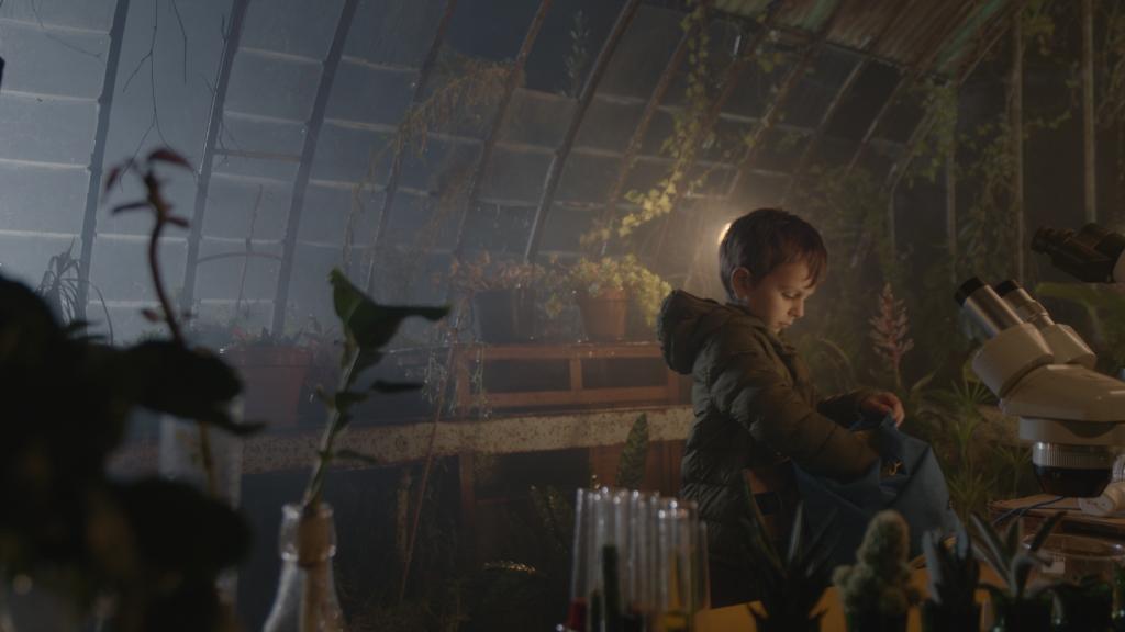 Le Plafond de verre Le Plafond de verre