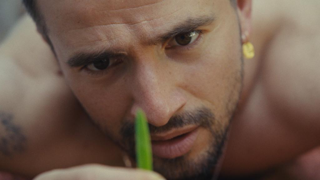 Simon Frenay Simon Frenay