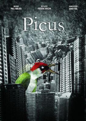 Picus