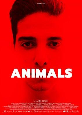 Animals Animals