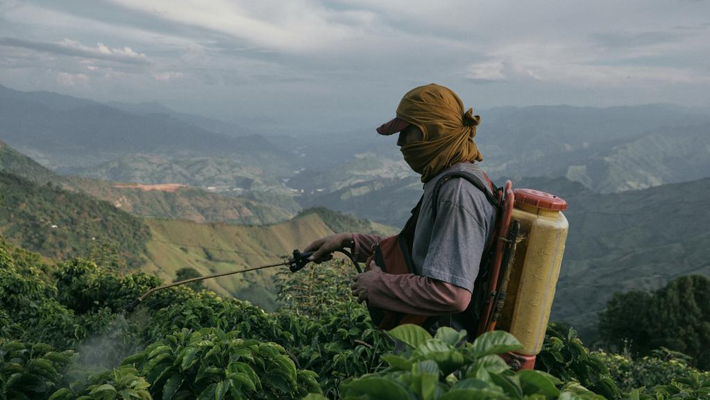 The Rust - © Alejandro Pérez Ceferino The Rust - © Alejandro Pérez Ceferino