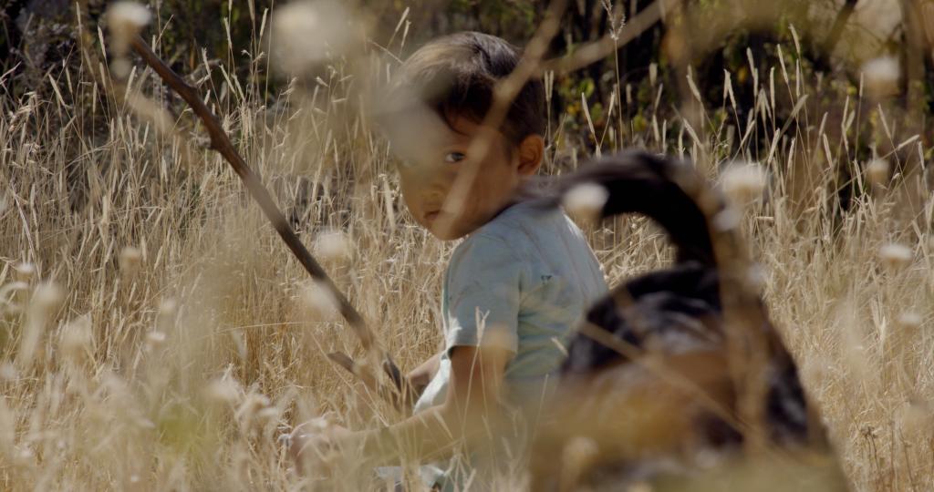 Hijo de sicario Hijo de sicario