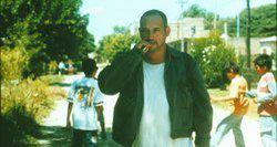 Un oso rojo Un oso rojo