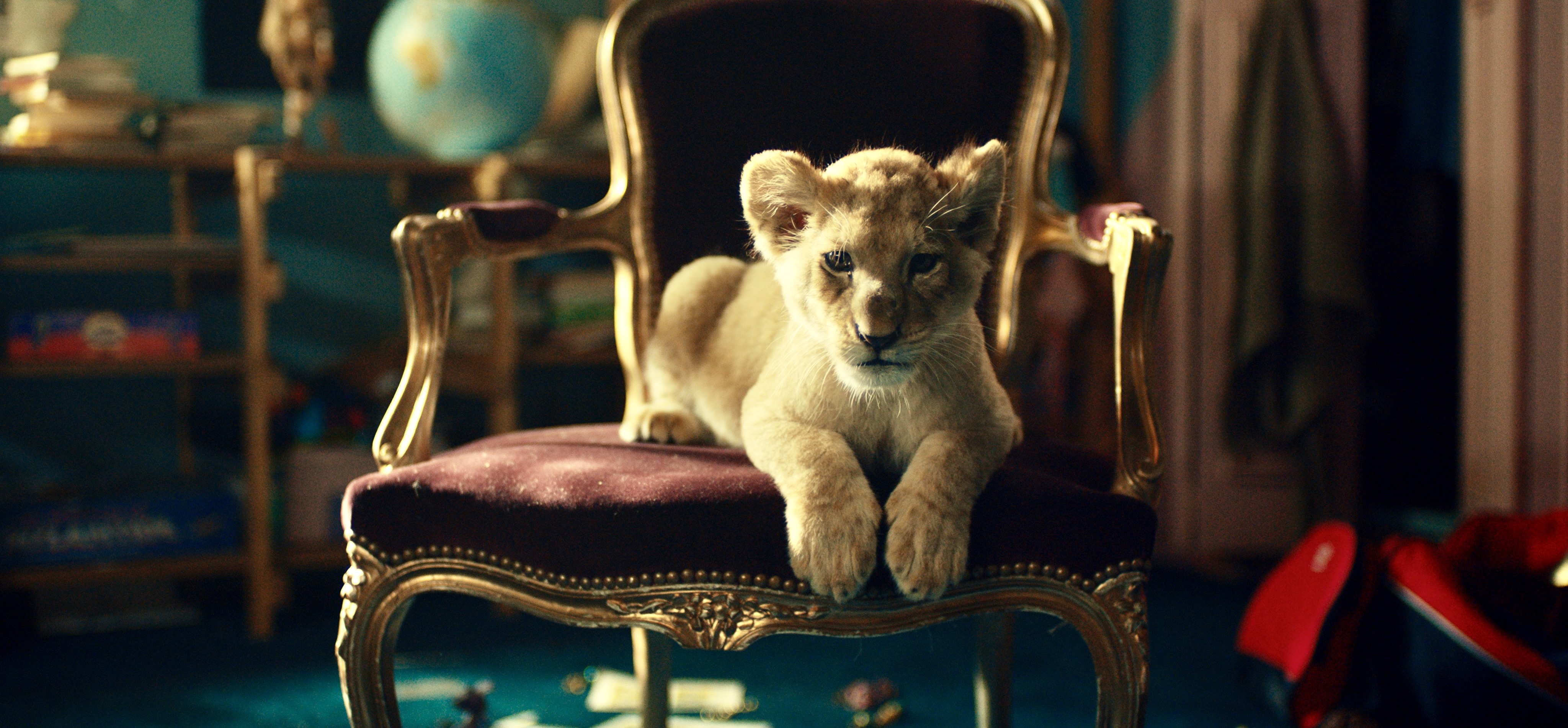 ‘King, mi pequeño rey’, supera el umbral simbólico del millón de espectadores en el extranjero ‘King, mi pequeño rey’, supera el umbral simbólico del millón de espectadores en el extranjero