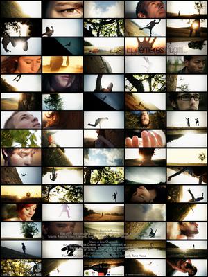 Les Éphémères Fugitifs Les Éphémères Fugitifs