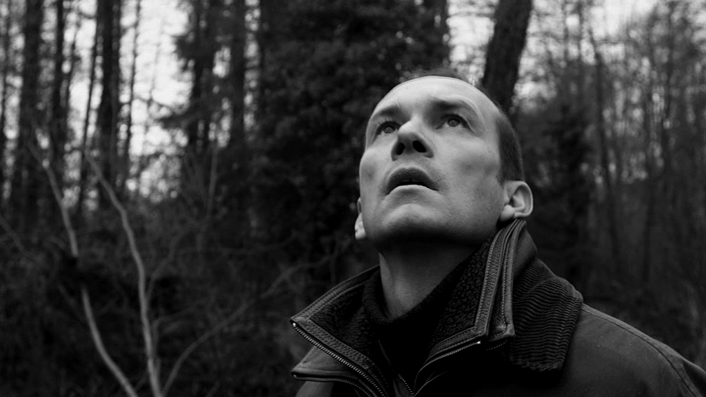 Hello Birds Hello Birds