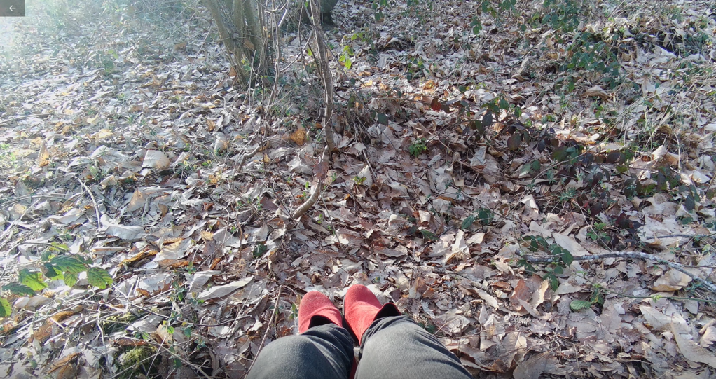 Elisa and Middle-earth Elisa and Middle-earth