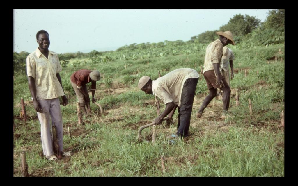 Crossing Voices Crossing Voices