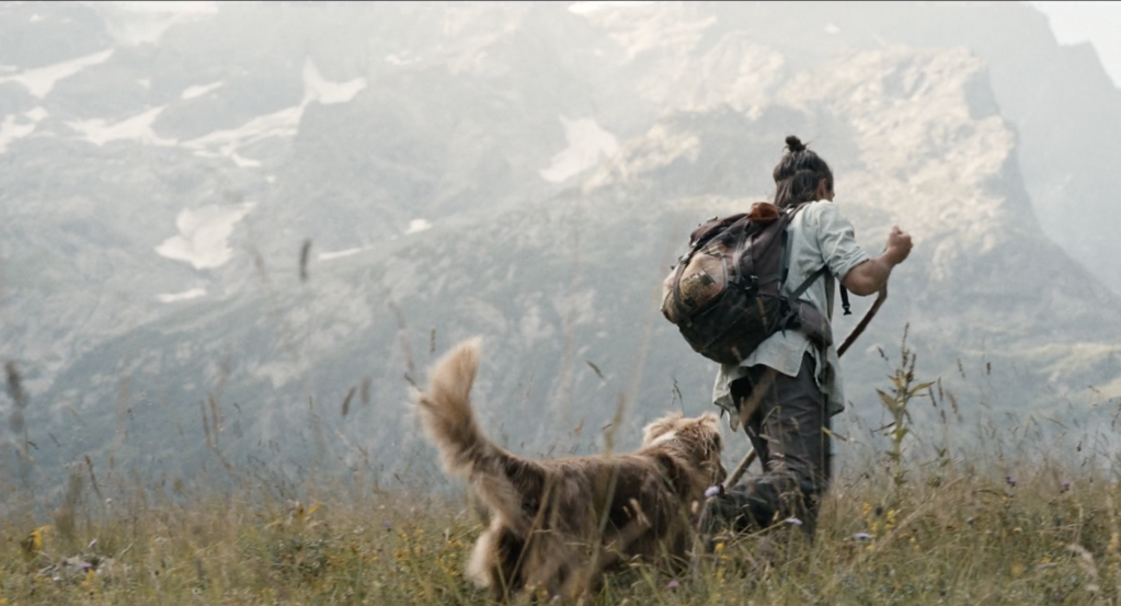 Mille moutons Mille moutons