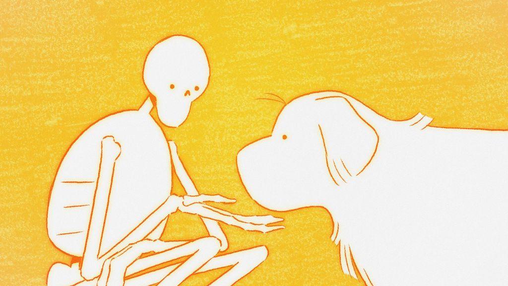 My Friend the Dog My Friend the Dog