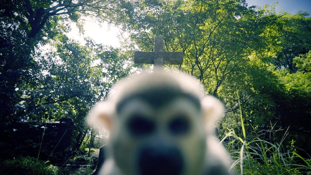 Dresden International Short Film Festival - 2020