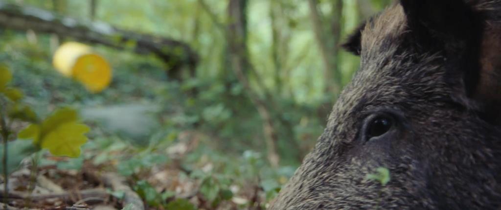 Le Bidon de l'aube Le Bidon de l'aube