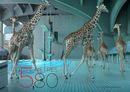 5 mètres 80 5 mètres 80