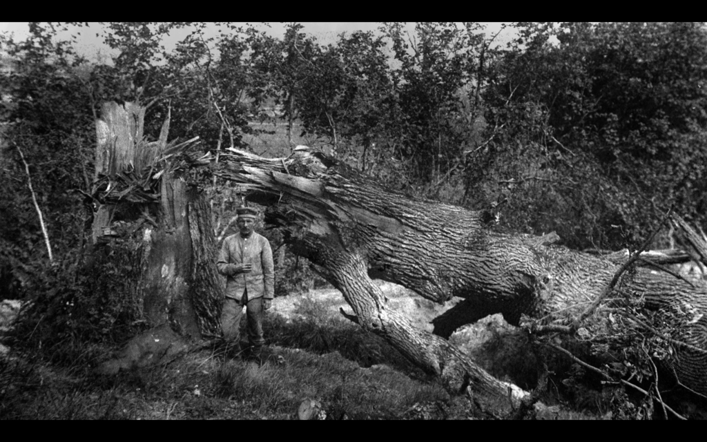 Rouge et le Gris - Ernst Jünger dans la Grande Guerre Rouge et le Gris - Ernst Jünger dans la Grande Guerre