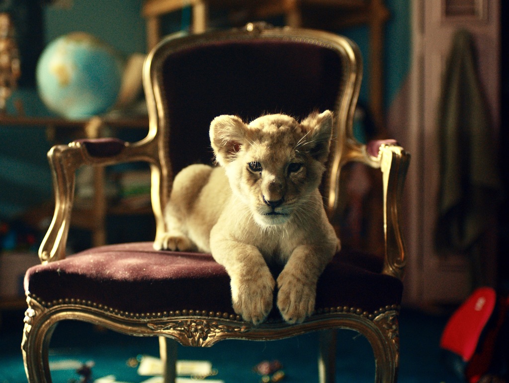 'King' franchit le seuil symbolique du million de spectateurs à l'international 'King' franchit le seuil symbolique du million de spectateurs à l'international