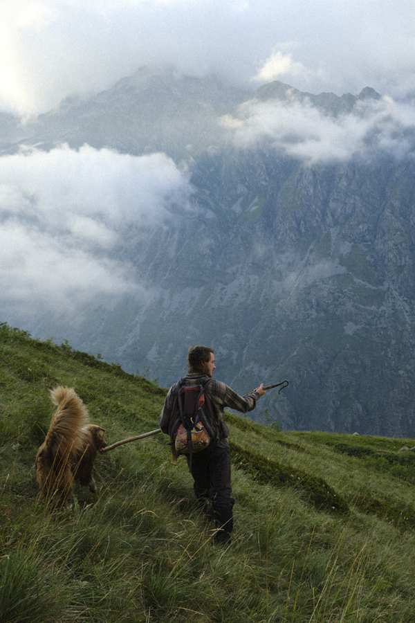 Mille moutons Mille moutons